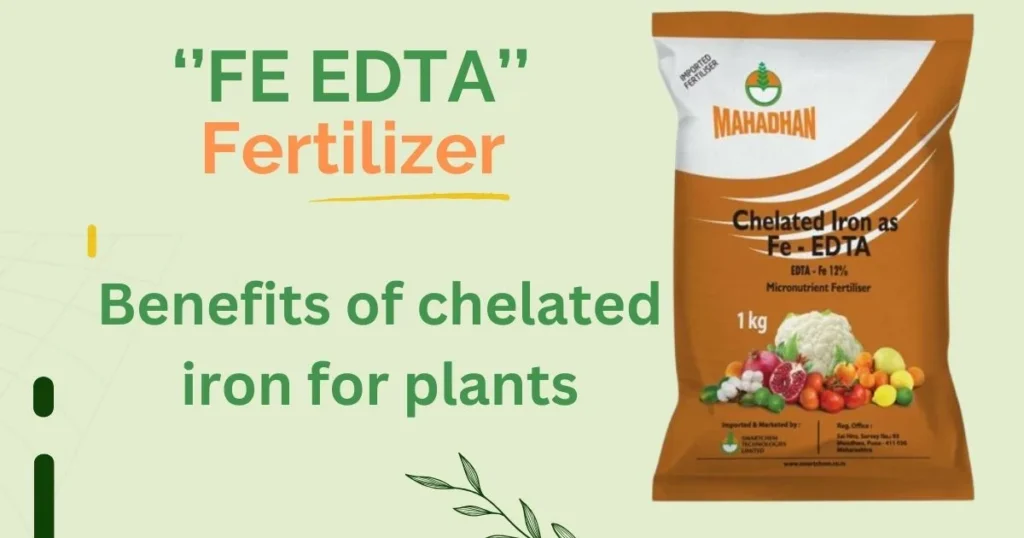 Fe EDTA fertilizer – A highly soluble iron source for plants