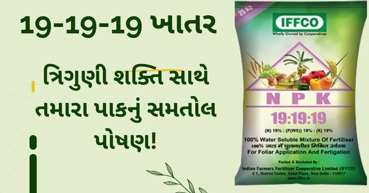 best 19 19 19 fertiliser uses,benefits,content and price