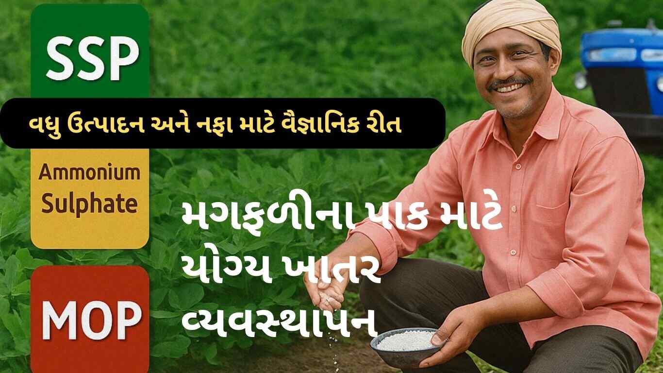 મગફળીમાં ખટારાનું વ્યવસ્થાપન