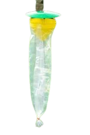 pheromone trap na upayog