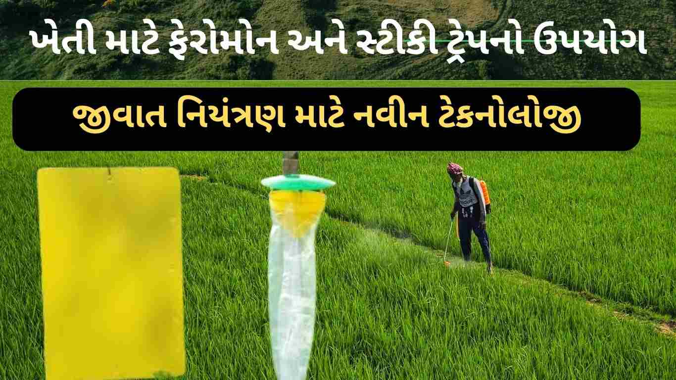 ફેરોમોન ટ્રેપ ,પીળા સ્ટીકી ટ્રેપ