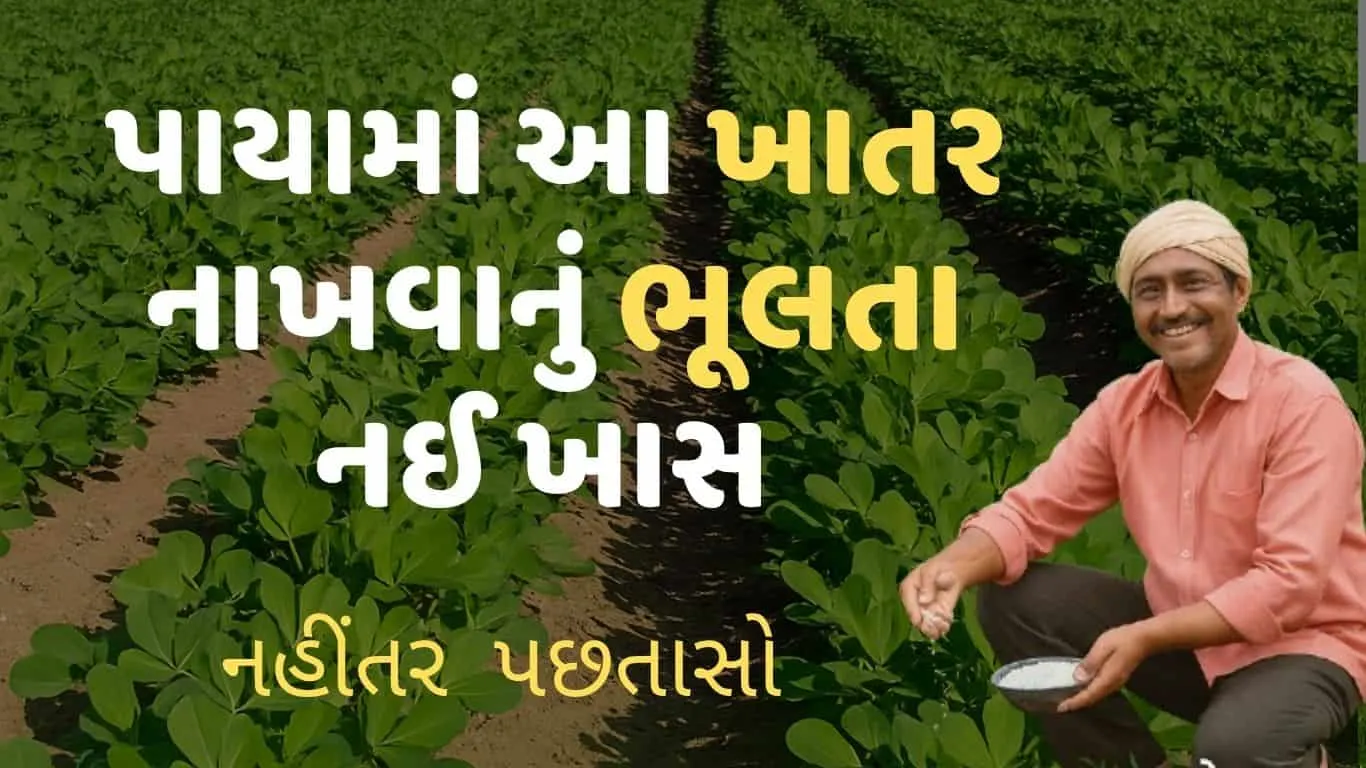 સલ્ફર ખાતરના ફાયદા | ખેતીમાં સલ્ફર શા માટે જરૂરી છે?